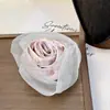 Grampo de Cabelo Flor de Gaze Estilo Férias de Verão para Mulheres, Presilha de Bico de Pato Tubarão de Alta Qualidade para Meio Preso