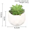 Suculenta Planta Taça de Diamante Bonsai Decoração Casa Escritório Es1178-4 Paisagem em Microfibra Aveludada Mini Alta Simulação