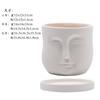 Vaso de Flor de Cerâmica Estilo Creme Argila Branca Queimada Simples Respirável e Absorvente de Água Doméstico Galão Planta Verde Suculenta Orquídea com Bandeja