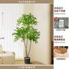 Simulação Planta Verde Nantianzhu High-end Light Luxo Árvore Falsa High-end Bionic Sala de estar Interior High-end Decoração Ornamentos de estúdio