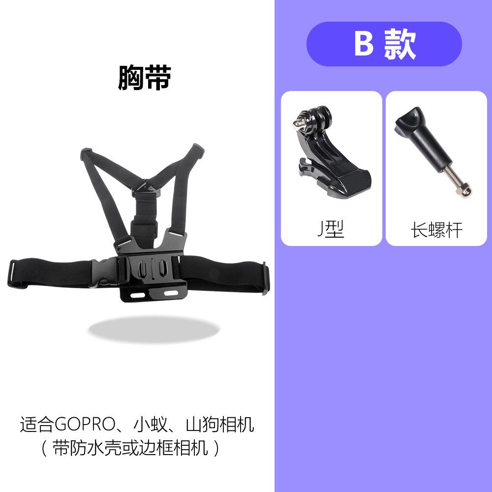 B.jpg