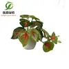 Folha de Espelho Artificial Pequena Decoração de Parede Planta Verde Falsa Decoração de Mesa em Vaso Pequeno Paisagem de Parede Flor Artificial Falsa