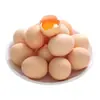 Huevos de grano fresco 10 piezas*40g-45g huevos de grano de corral de gallinas camperas, huevos de gallina tradicionales, huevos frescos, huevos de gallina cocinados en leña