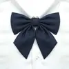 Poof Ding Xiong [Raiz de Pena Gigante] Original Genuíno Uniforme jk Gravata Laço Flor Estudante Feminino Cor Sólida Raiz de Pena Gigante Pequeno