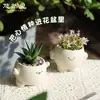 Cara Sonriente de Dibujos Animados Estado de Ánimo Regalo Creativo Portaplumas de Escritorio para el Hogar Adornos Decoración de Oficina Jardinería Maceta Pequeña de Suculentas Flor Pequeña