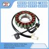 Accesorios del Estator de la Bobina Cn250 Elite Ch250 Helix Hammerhead Roketa