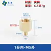 Adaptador de manómetro de cobre puro, reductor con roscas internas y externas M5M6M8M10M12M14*1.5M16 G1/4
