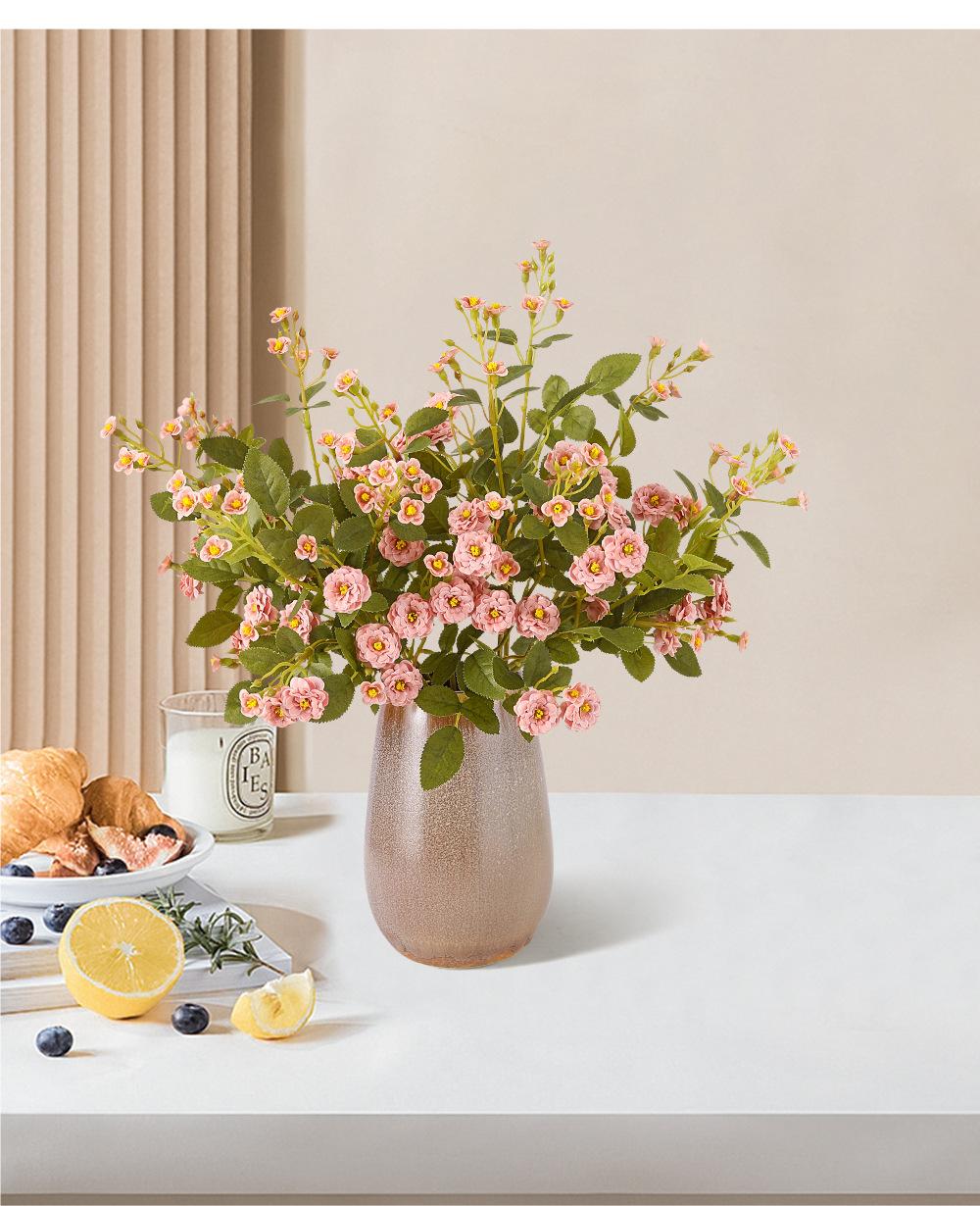 迷你小月季详情图