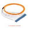 Arnés multimodo Sc/Lc/Fc/St OM2-50Um, fibra óptica de 12 núcleos