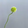 Cebolinha Artificial de Flor Única Verde, Design Floral Moderno, Exibição de Loja, Adereço de Fotografia, Flor Artificial para Decoração de Casa