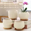Maceta de Cerámica Simple para Uso Doméstico con Plato, Venta al por Mayor Transfronteriza Temu, Específicamente para Orquídeas Phalaenopsis y Plantas Suculentas