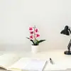 Flores Artificiales Phalaenopsis 5 Flores Artificiales en Maceta Bonsái Escena de Hogar y Oficina Decoración de Plantas Verdes Accesorios de Paisajismo