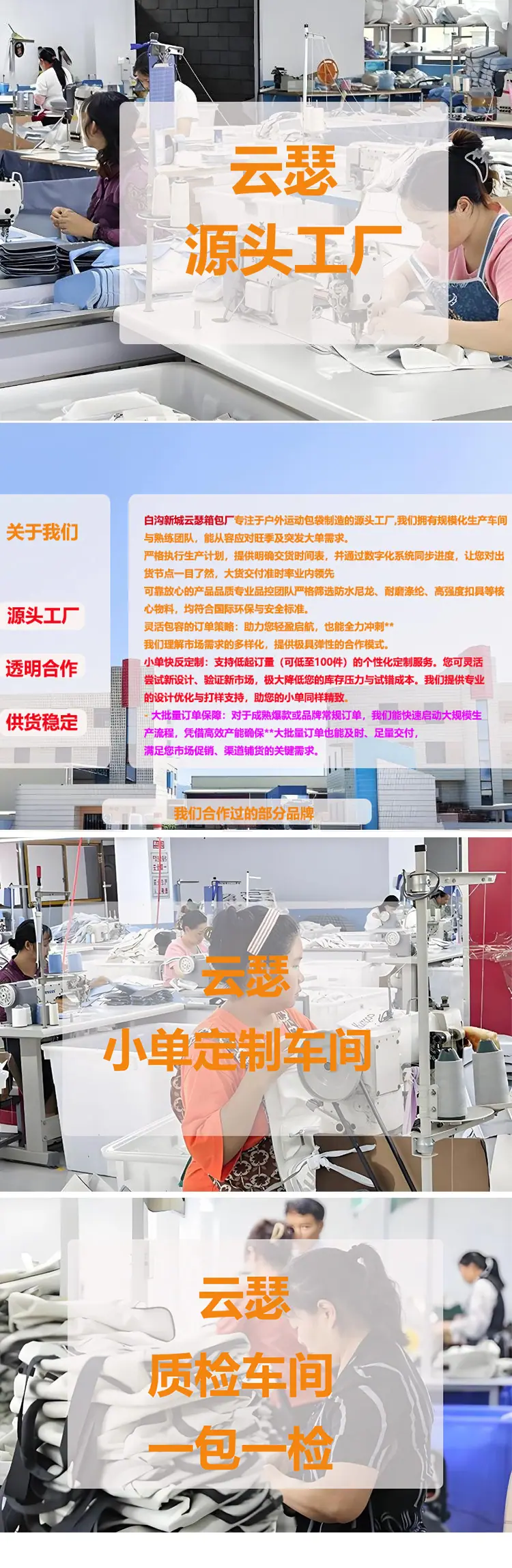 xin详情