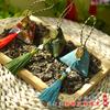 Bolsas Aromáticas, Bolsitas de Incienso de Ajenjo, Bolsitas Repelentes de Mosquitos, Cajas de Regalo Zongzi, Adornos Colgantes, Regalos al por Mayor para Centros Comerciales, Adornos Colgantes de los Cinco Venenos