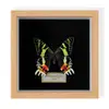 Marco de Fotos con Espécimen de Mariposa Conmemorativa, un Regalo Premium para Cumpleaños y Festividades, Hecho de Madera Maciza con un Diseño Sellado, Adorno de Arte de Lujo Ligero de Alta Gama