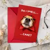 Compra directa transfronteriza: Tarjetas de felicitación peculiares con temática de perros y agujeros, diseños creativos y divertidos, adecuadas para diversas festividades, con mensajes lindos y bendiciones de propósito general