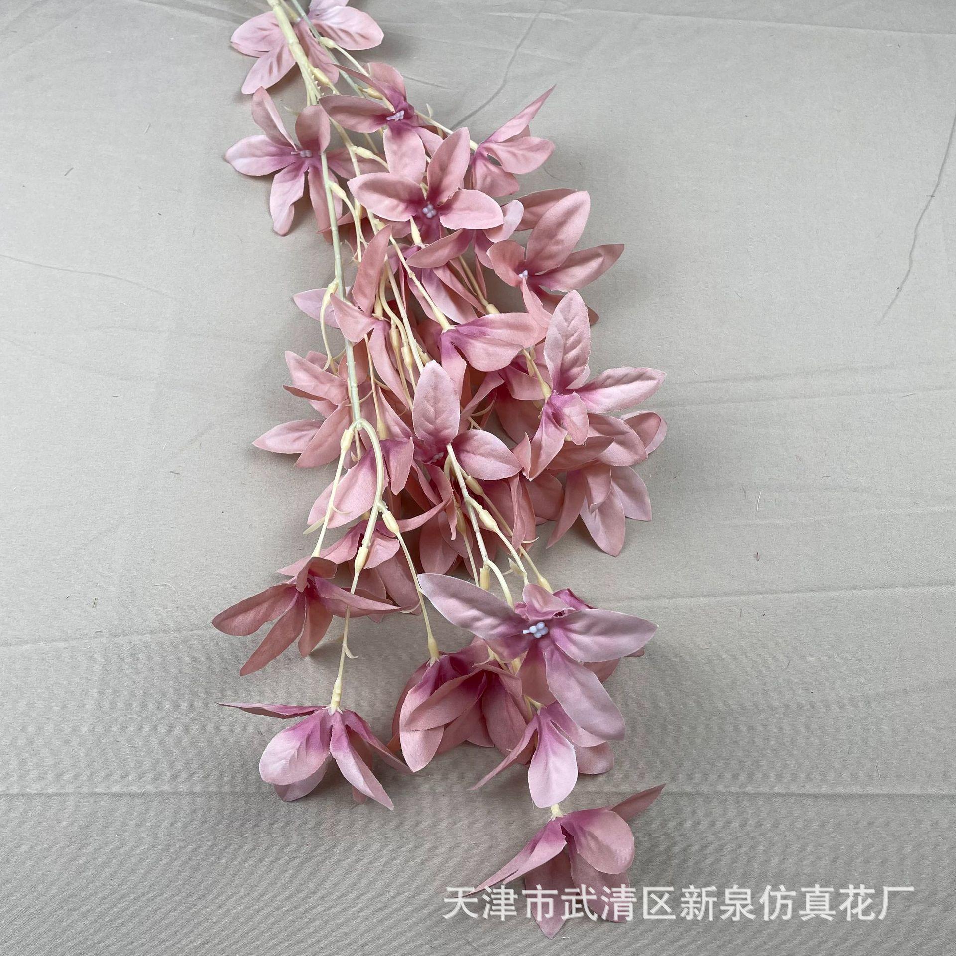 ba6aa5556023482c98b10399c0f623