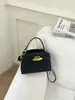 Bolsa de Mano para Comercio Electrónico Transfronterizo Bolsa Pequeña Nueva Moda para Mujer Alta Apariencia Bolsa de Viaje Diseño de Nicho Bolso Cruzado de un Solo Hombro Moderno