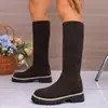 Comercio exterior transfronterizo otoño e invierno 2026 nuevas botas de mujer estilo coreano, botas altas de gamuza, botas hasta la rodilla, botas de media pantorrilla, botas largas planas para mujer