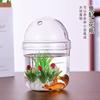 Vaso de vidro borossilicato alto planta hidropônica garrafa de vidro suculenta peixe ornamental vaso de arte micro paisagem garrafa ecológica