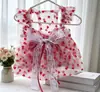 Roupas para Cachorro Estilo Novo Vestido de Renda de Bolinhas Respirável Vestido Princesa para Gatos e Bichon Frise