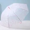 Guarda-chuva Transparente Fosco com Cabo Longo, Resistente ao Vento, Adequado para Homens e Mulheres, Estudantes, Estilo Fresco, Duas Pessoas, Guarda-chuva Moderno