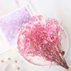 Moderno Sencillo ins Ramo de Flores Secas Naturales Marioneta para Abrazar Decoración del Hogar Adornos Creativos DIY para Sala de Estar