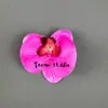 Cabeça de Flor de Orquídea Phalaenopsis Artificial, Textura de Película Impressa em 3D, Buquê Exquisito para Decoração de Casamento e Lembrança