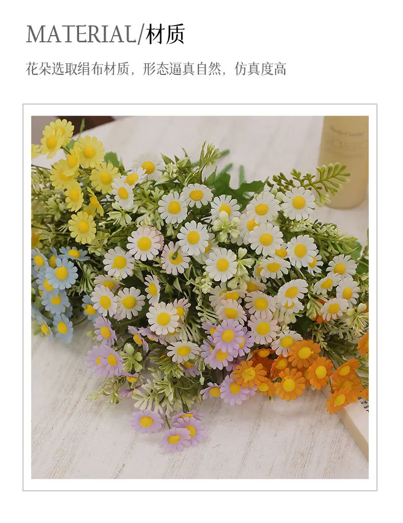 元霜春把束小雏菊_02.jpg