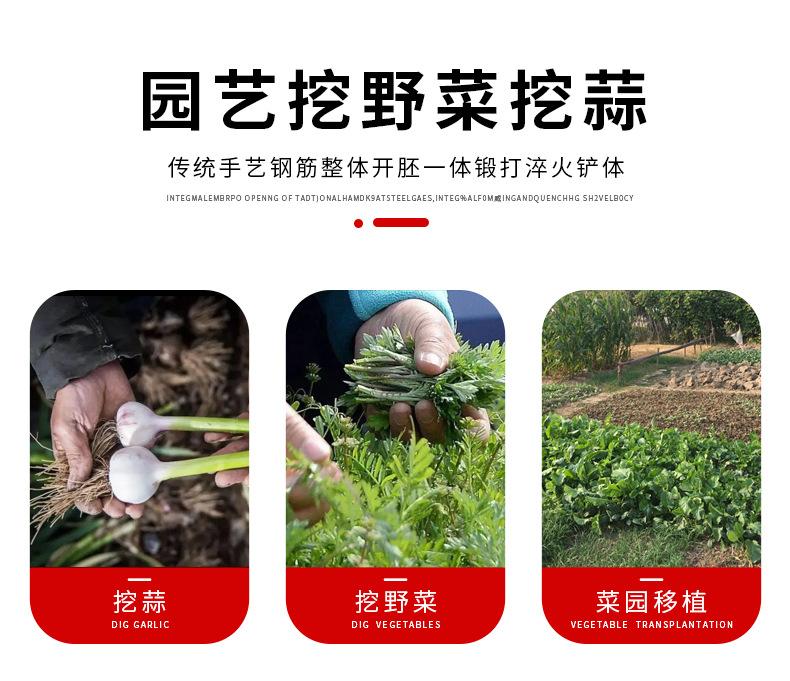 详情_02.jpg