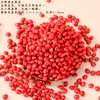 Material de cascabel de cáscara de fruta natural para accesorios de cuentas de llavero DIY hechos a mano, accesorios de pulsera, material de colgante de carillón de viento creativo