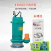 Bomba Sumergible 370W750W 1 Pulgada 220V Alto Levantamiento Bomba de Agua Doméstica Agrícola Bomba de Aguas Residuales Bomba de Aguas Residuales