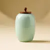 Pote de Chá Cerâmico Pequeno Portátil de Cor Sólida Fresca do Fabricante, Recipiente de Chá Vazio Selado à Prova de Umidade, Unidade Única