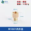 Adaptador de manómetro de cobre puro, reductor con roscas internas y externas M5M6M8M10M12M14*1.5M16 G1/4