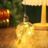 Venta al por mayor de fábrica de nuevo material PET simulación de flores secas regalo de San Valentín decoración navideña LED bola navideña transparente