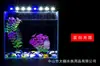 Suministrado directamente por el fabricante, luz sumergible T4LED, luz para acuario, iluminación de paisaje, luz LED impermeable para acuario Zeng Yan