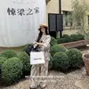 26 Novos Pijamas de Seda Gelada Femininos para Primavera e Outono, Moda Francesa, Conjunto de Camisa de Manga Longa de Alta Qualidade Que Pode Ser Usado Fora de Casa como Pijama
