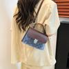 Bolsa de Gelatina Transparente 2025 Nueva Bolsa Cuadrada Pequeña de Moda Versátil Bolso de Mano de Alta Gama Bolso Cruzado Bolso Pequeño