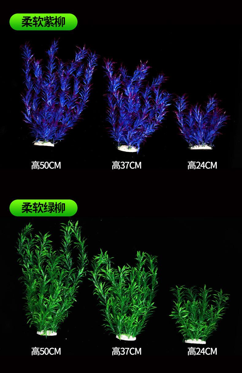 水草1_06.jpg
