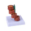 Boyou Modelo Vascular Modelo Médico Simula Modelo de Vaso Sanguíneo Humano Bloqueio de Vaso Sanguíneo Treinamento de Vaso Sanguíneo