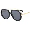 Gafas de Sol Aviador Versátiles de Estilo Retro de Moda de Influencers Europeos y Americanos