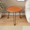 Mesa dobrável para acampamento ao ar livre, mesa de chá, mesa de piquenique portátil, mesa de churrasco ao ar livre, mesa de piquenique espessa e à prova d'água para viagens de carro