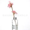 Garrafa de Vidro Garrafa de Aromaterapia Desodorizante de Banheiro Óleo Essencial Incenso Garrafa de Perfume para Ambiente Garrafa Cilíndrica com Tampa de Rosca Fragrância para Casa