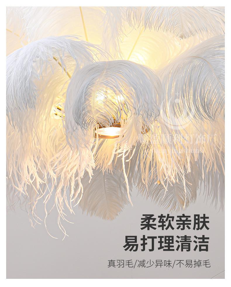 描述图_4.jpg