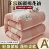 Colcha de algodón de Xinjiang, extraíble y lavable, colcha gruesa de invierno, colcha de primavera y otoño para dormitorio de estudiante, cubrecolchón para el hogar