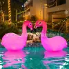 Proveedor Principal de Luces Solares Flotantes para Piscina, Luces Decorativas Inflables de Flamenco, Luces Inflables LED para Agua y Luces Inflables de Colores
