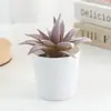Decoração de Mesa de Escritório Indoor de Manga de Inverno Planta em Vaso Vaso de Cerâmica Balde Pequeno Mini Planta Suculenta Mais Vendido da Amazon