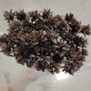 Flor de montanha pequena buquê de flores secas decoração luz luxo high-end diy material real flor air-dried importado espécime material de flor