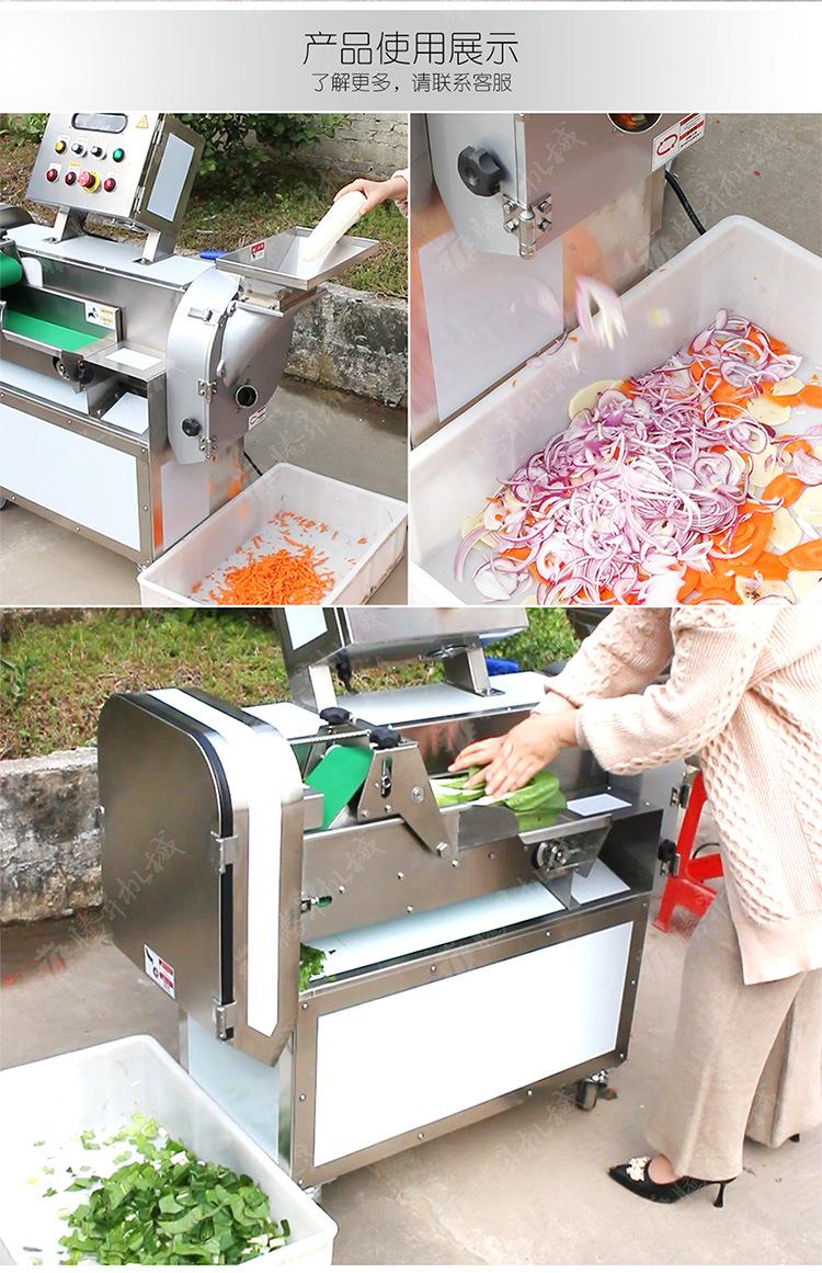 TS-Q118B-双头切菜机-详情页(750PX)_02.j