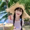 Presilhas de Cabelo Série Oceano com Flores Preservadas, Estrelas-do-Mar, Conchas e Frutas para Viagens à Beira-Mar e Fotos de Férias